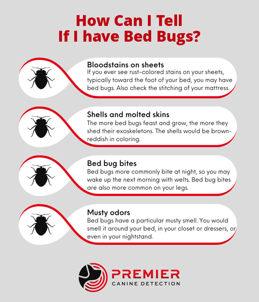 K9 Bed Bug Inspections in Northern California | Bed Bug Detection ...