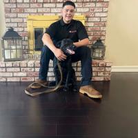 Black dog sitting with his owner