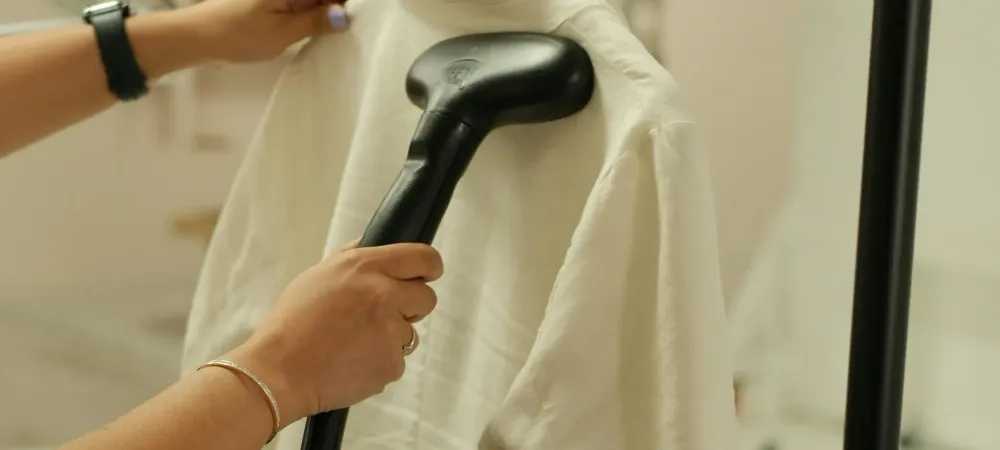 a steamer that can be used for bed bugs